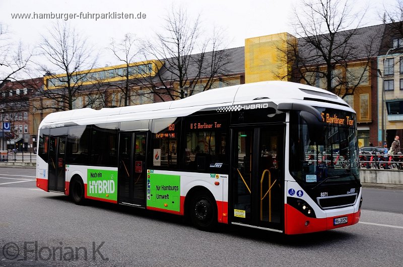 23) 8371-21,Jasper,FK.jpg